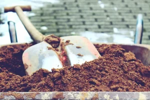 Shovel digging in dirt