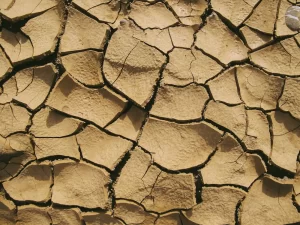dried clay soil