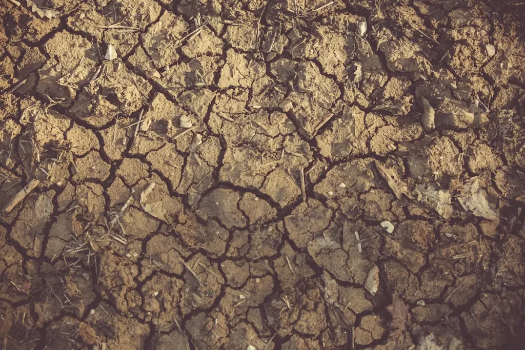 clay soil with cracks